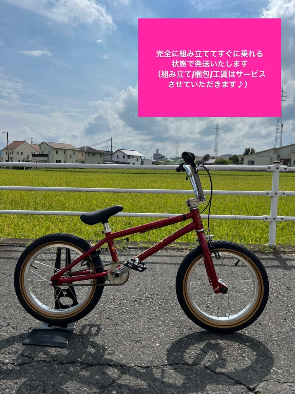 ★送料込み 細かなセッティング可 BMX 初心者 FITBIKE 赤  フィットバイク MISFIT 16インチ コンプリート 完成車 KIDS キッズ 全国通販可能　◎